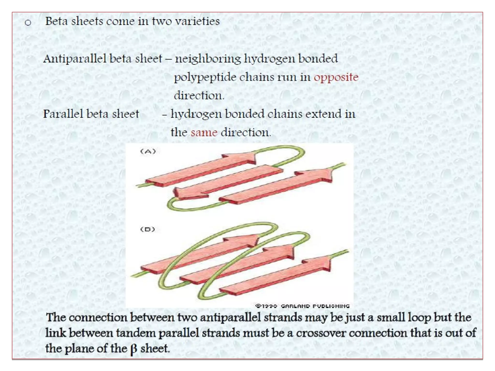 Levels of protein structure