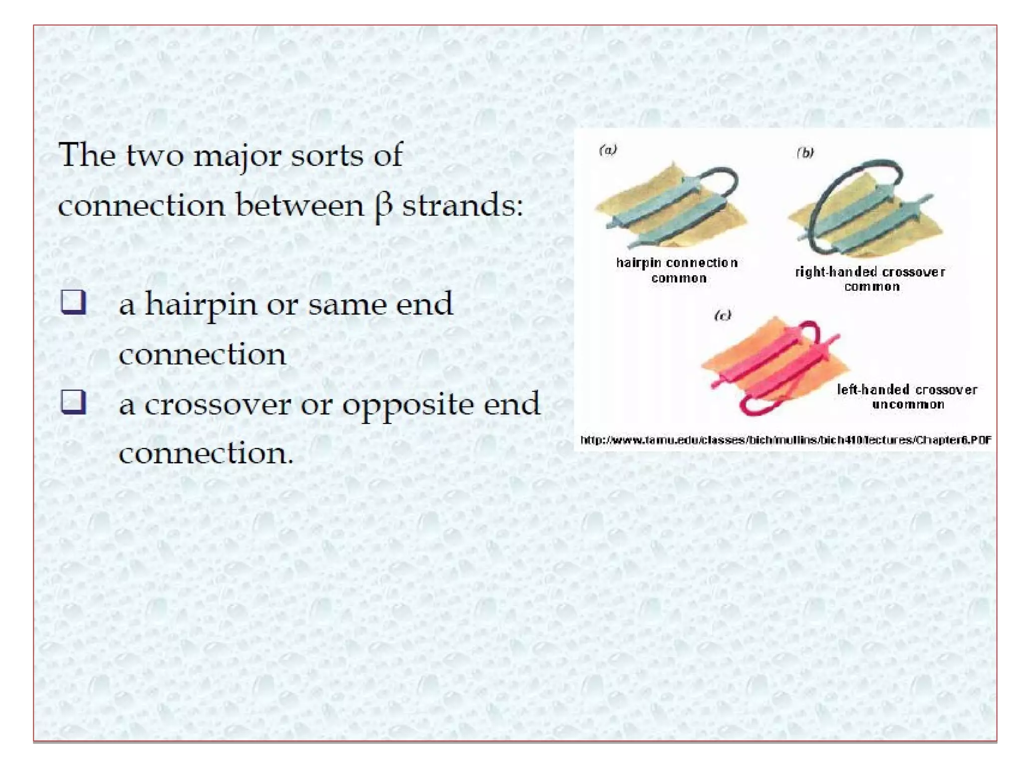 Levels of protein structure