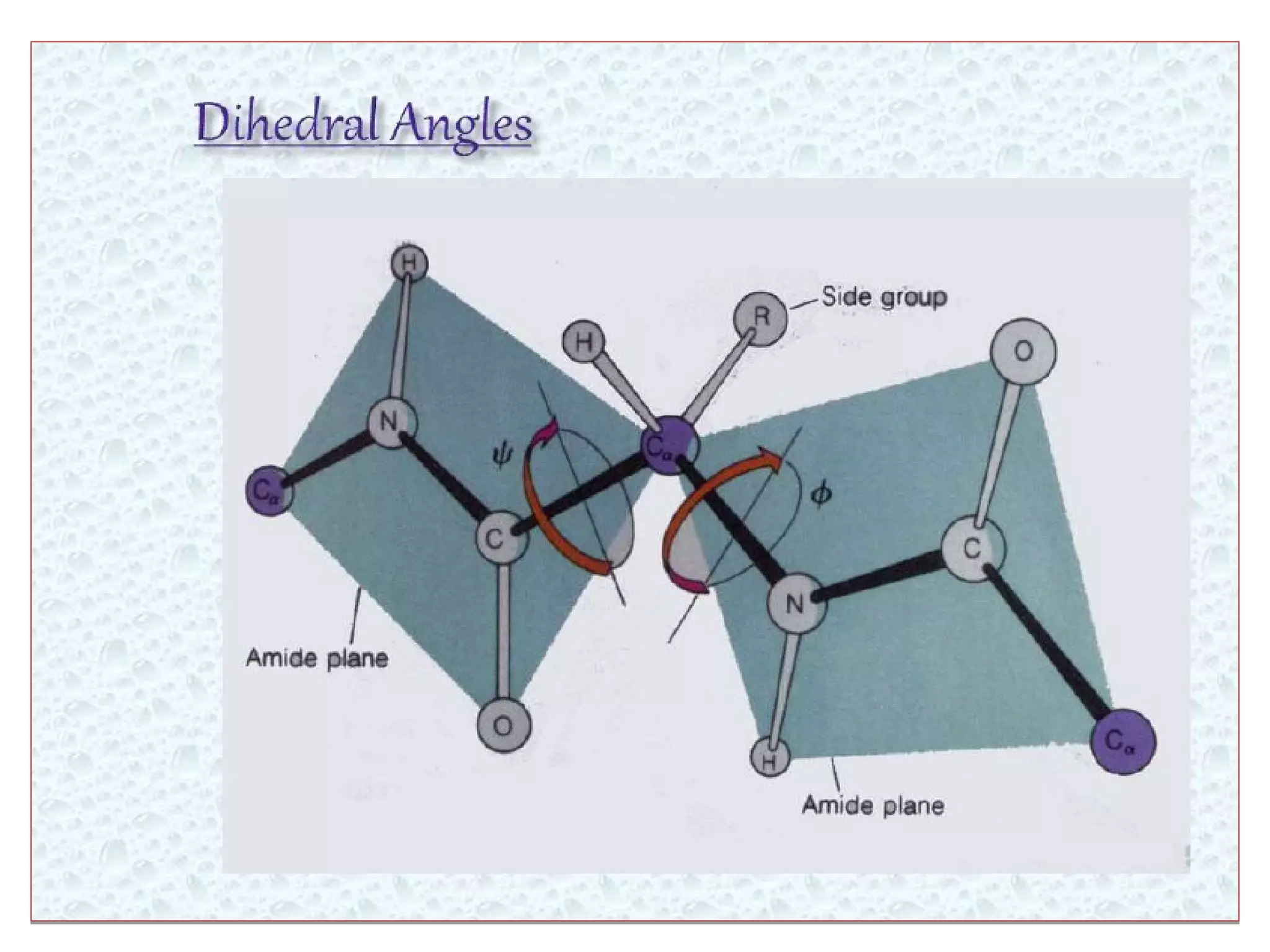 Levels of protein structure