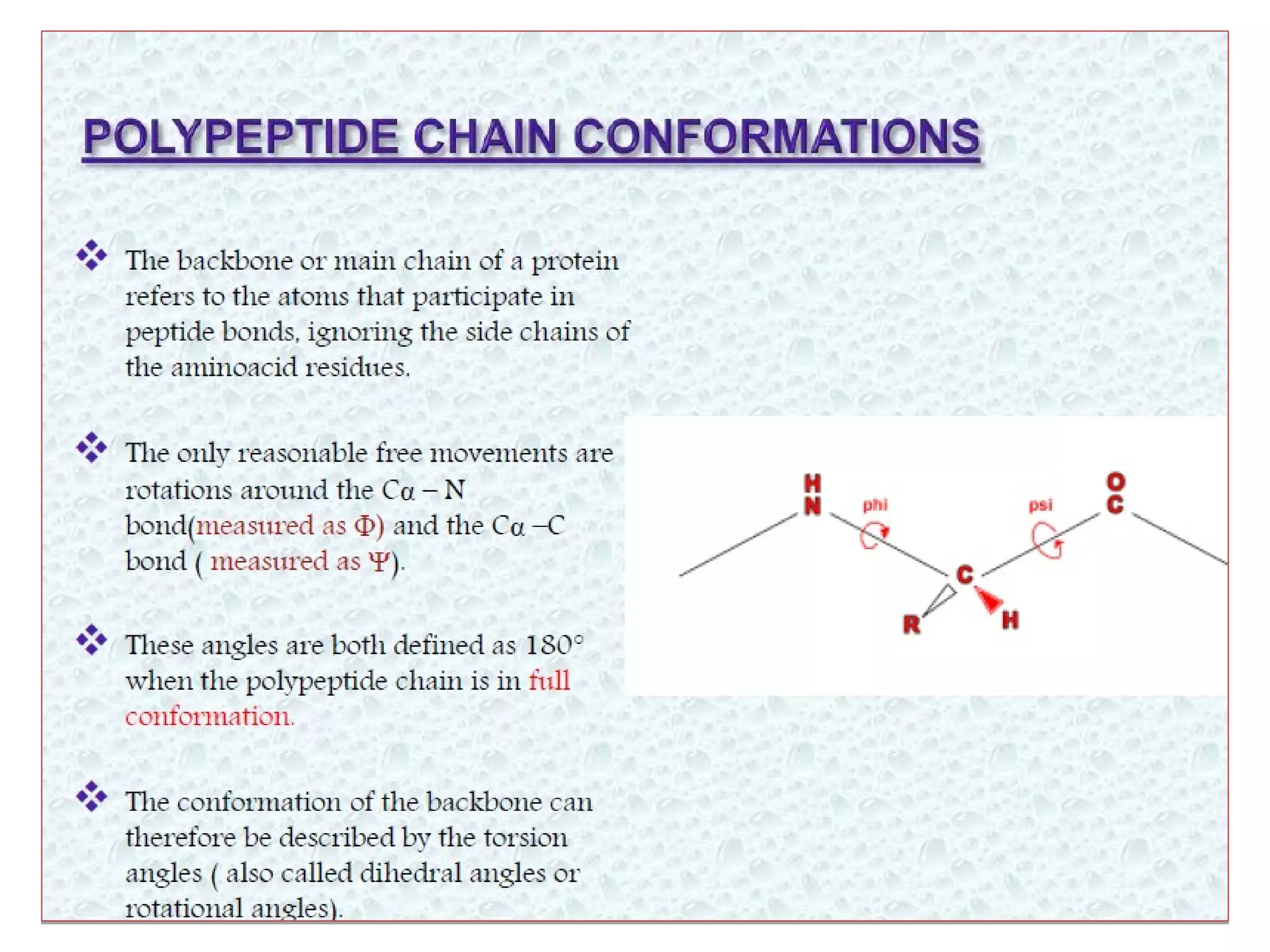 Levels of protein structure
