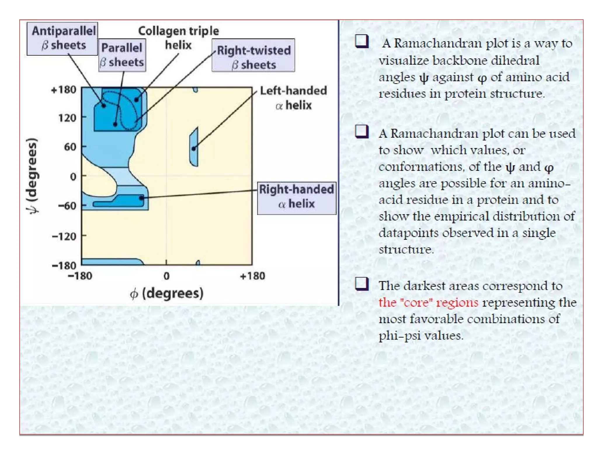 Levels of protein structure