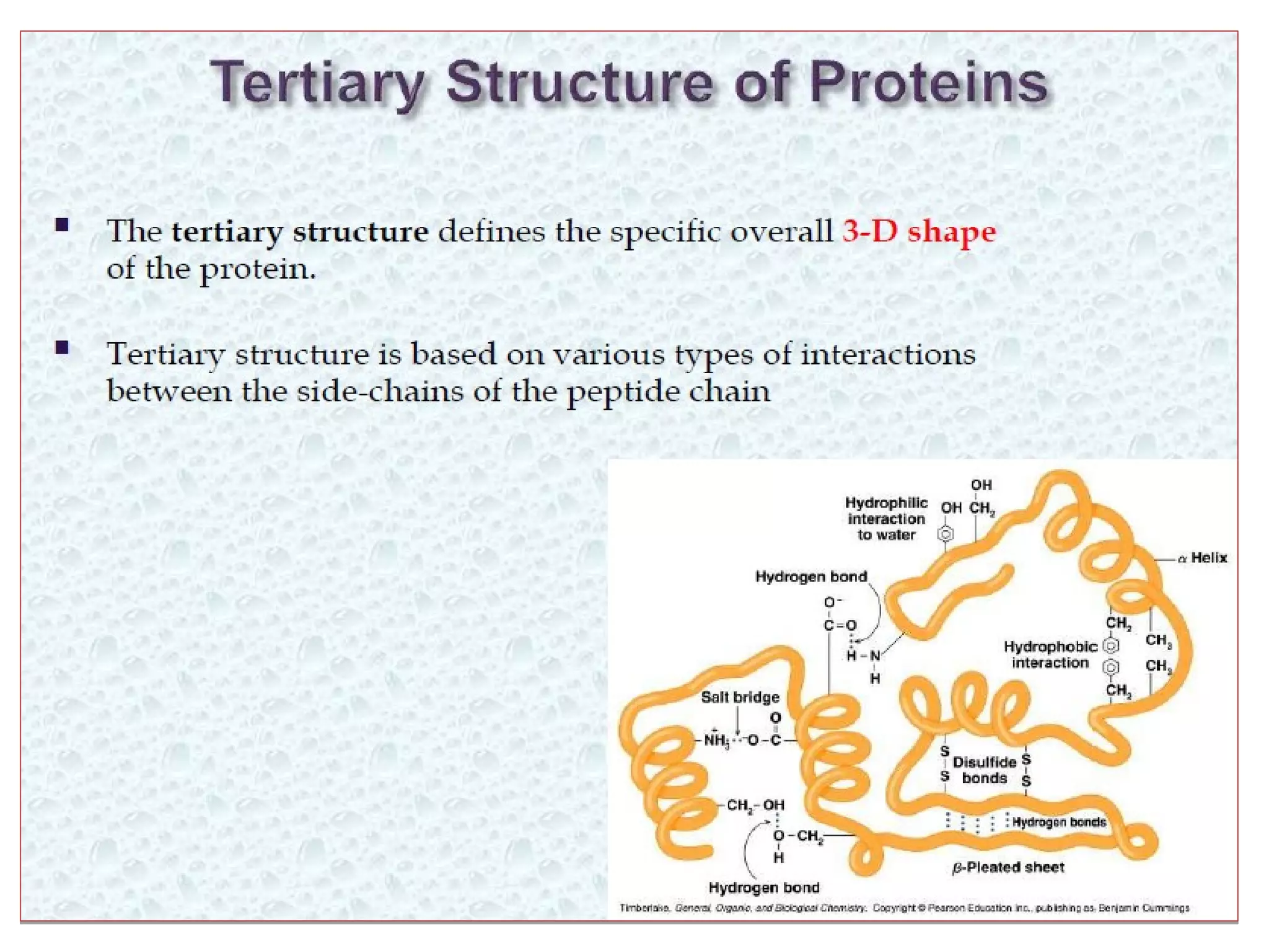 Levels of protein structure