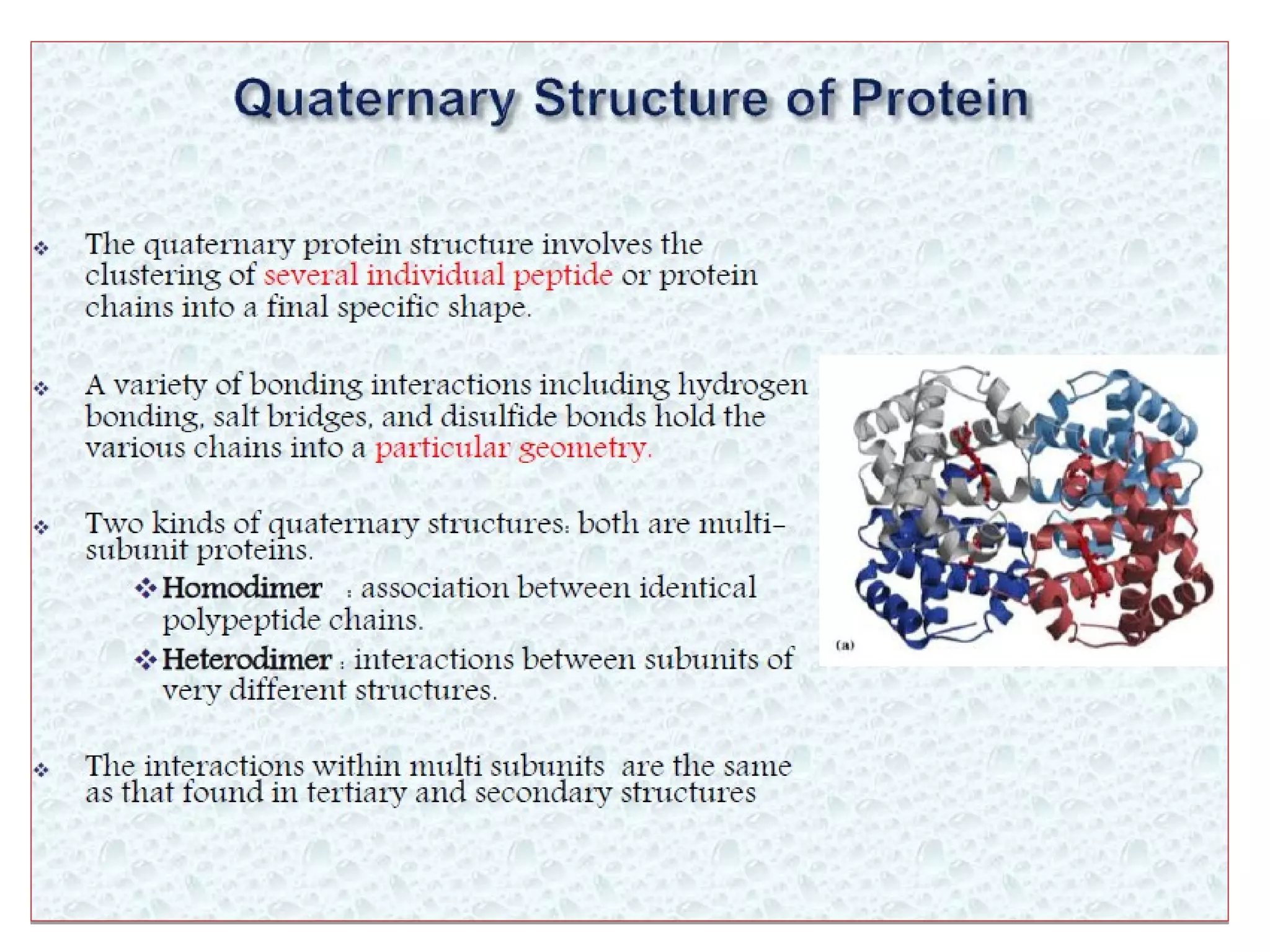 Levels of protein structure