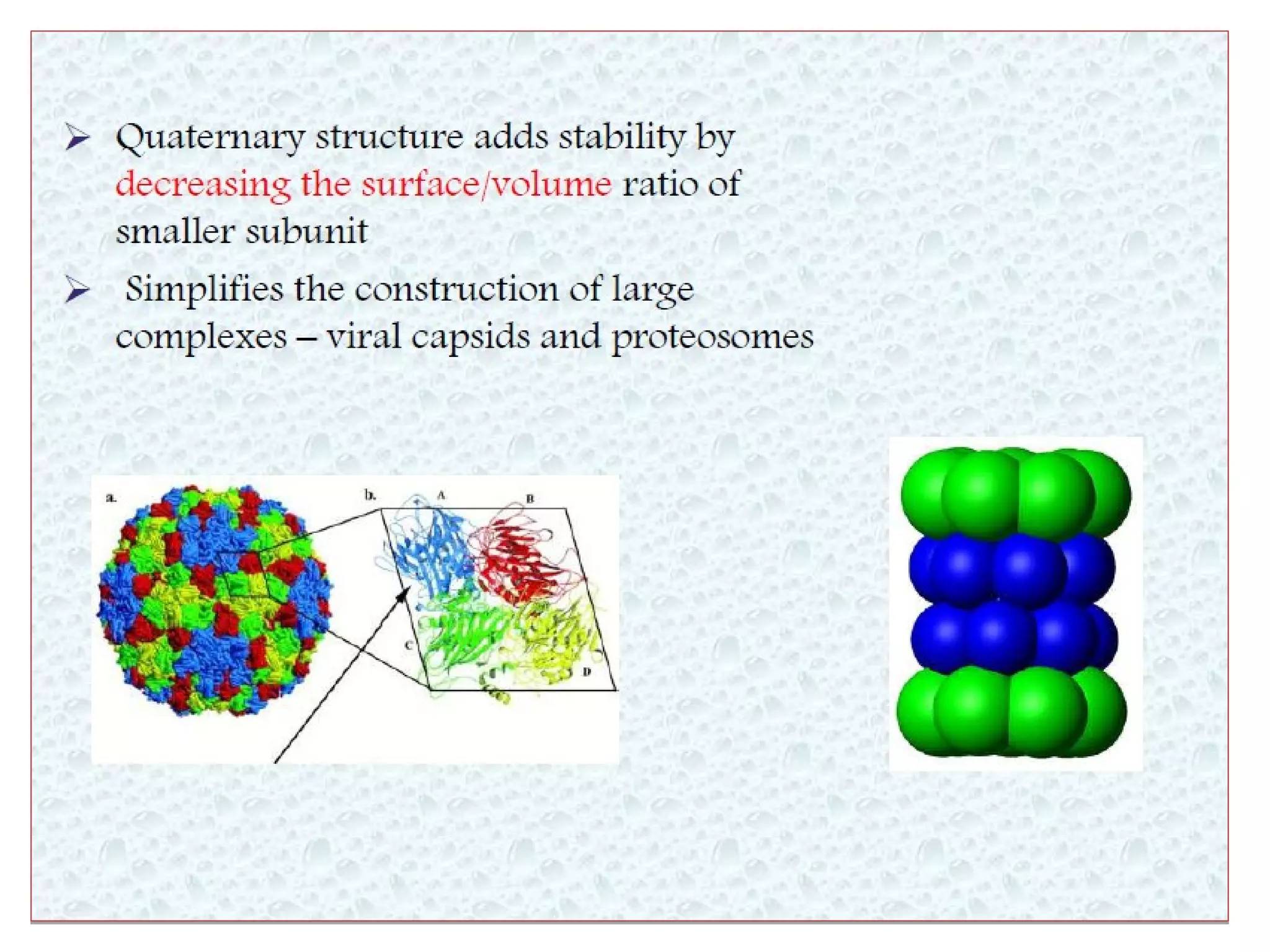 Levels of protein structure