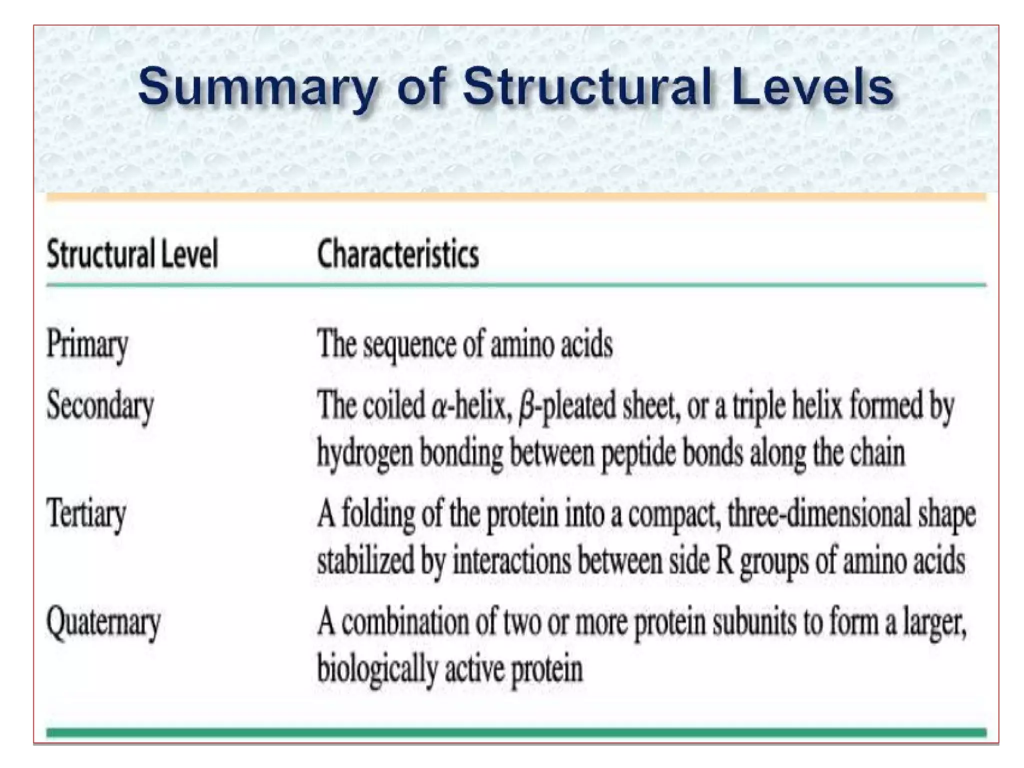 Levels of protein structure