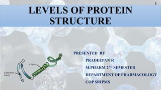LEVELS OF PROTEIN
STRUCTURE
PRESENTED BY
PRADEEPAN R
M.PHARM 2ND SEMESTER
DEPARTMENT OF PHARMACOLOGY
COP SRIPMS
1
 