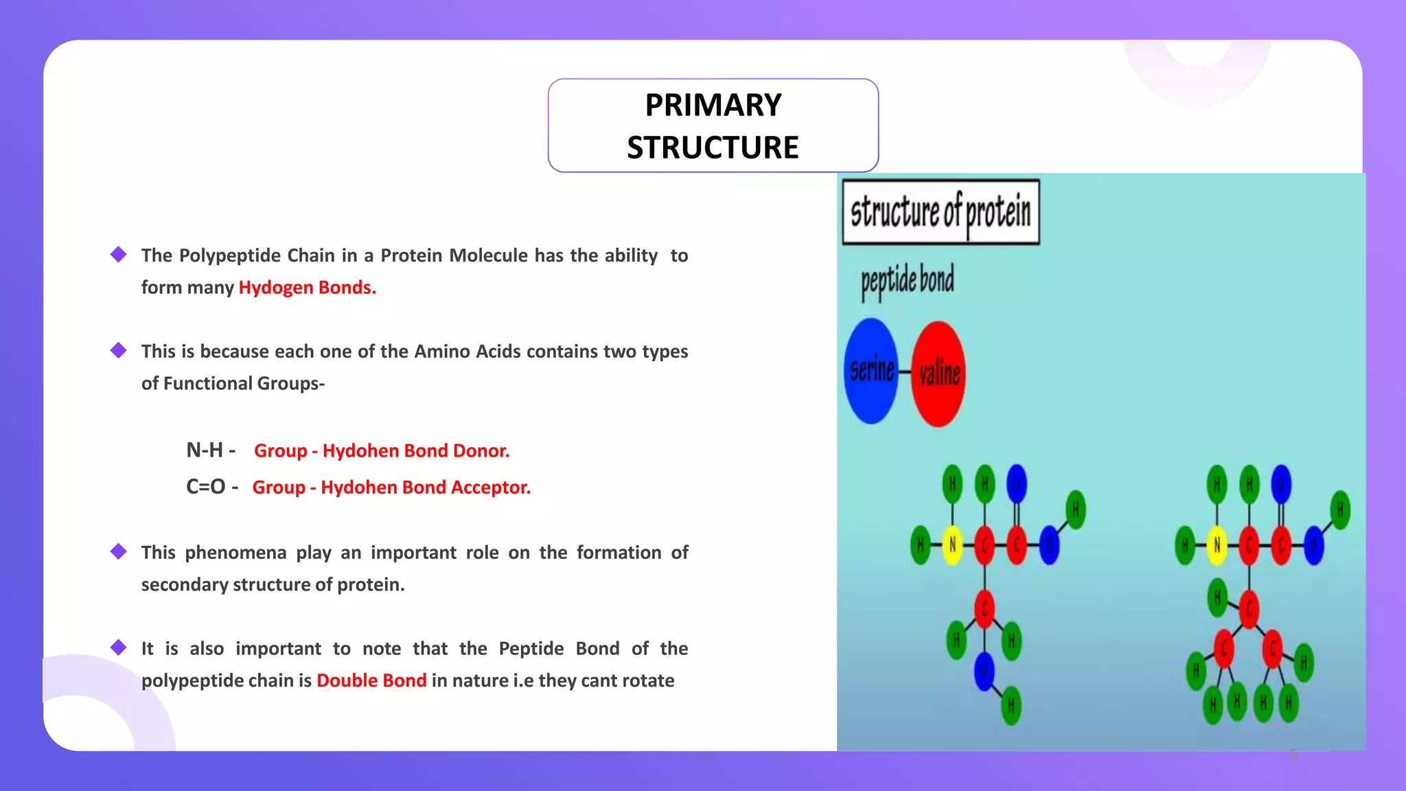 Levels of protein structure.pptx