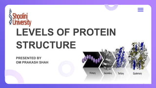LEVELS OF PROTEIN
STRUCTURE
PRESENTED BY
OM PRAKASH SHAH
1
 