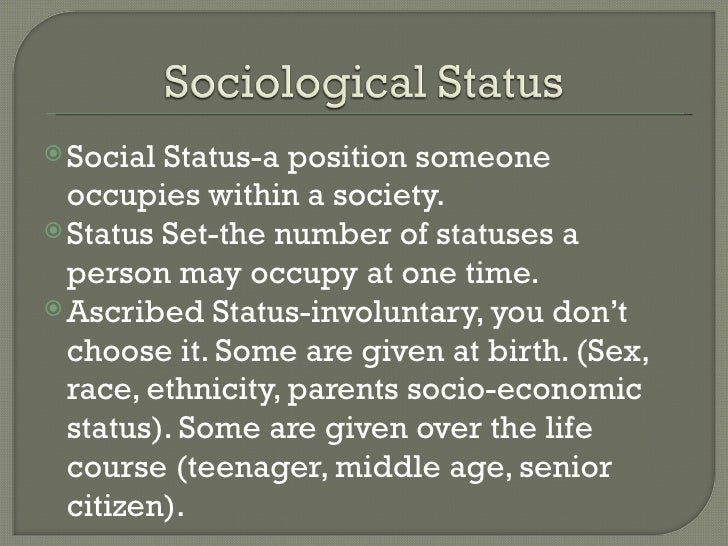 Levels Of Sociological Anaylisis2