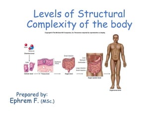Levels of Structural
Complexity of the body
Prepared by:
Ephrem F. (MSc.)
 