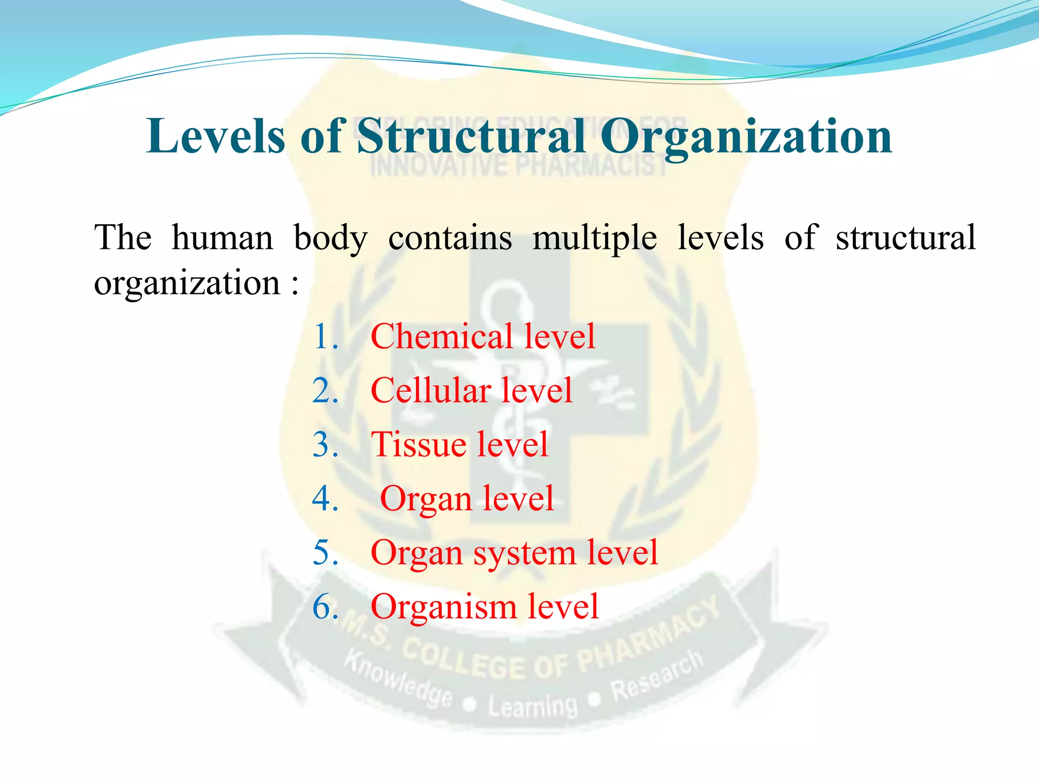 Levels of structural organization | PPTX