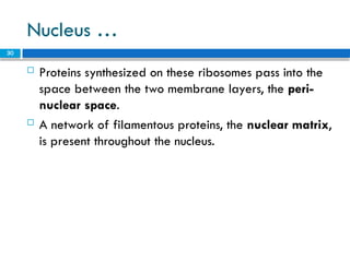 Levels of structural organization - the Cell (1).pptx