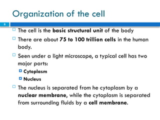 Levels of structural organization - the Cell (1).pptx
