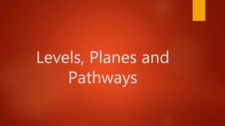 Levels, Planes and
Pathways
 