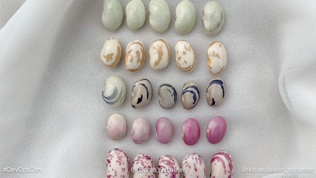 #DevOpsCon @Lauren_Schaefer linktr.ee/lauren_schaefer
 