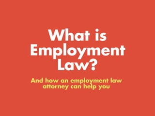 What is Employment Law?