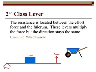 2 nd  Class Lever The resistance is located between the effort force and the fulcrum.  These levers multiply the force but the direction stays the same. Example:  Wheelbarrow 