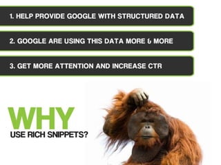 How to Leverage CTR with Rich Snippets