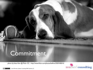 Commitment
photo by beau-foto @ Flickr CC - http://www.ﬂickr.com/photos/belkins/2503182015/


     Sarah Worsham, Sazbean ...