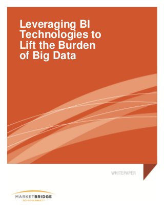 Leveraging BI
Technologies to
Lift the Burden
of Big Data
 