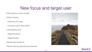 New focus and target user
• Data engineers vs Distro. builders
• Solution diversity:
▪ Streaming: Flink, Apex
▪ In-memory cache: Alluxio, Ignite
▪ User/developer tools:
▪ Bigtop Provisioner
▪ Bigtop Sandbox
• Big data stack references
• Machine learning, deep learning components
28
 