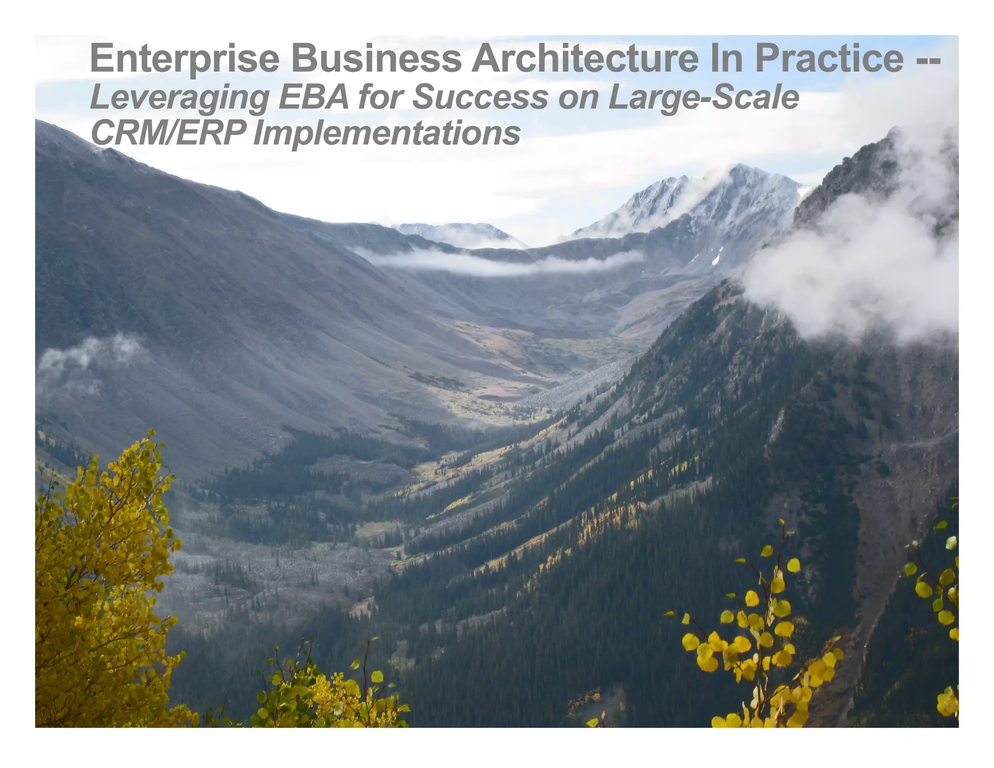 Enterprise Business Architecture In Practice --
Leveraging EBA for Success on Large-Scale
CRM/ERP Implementations
 