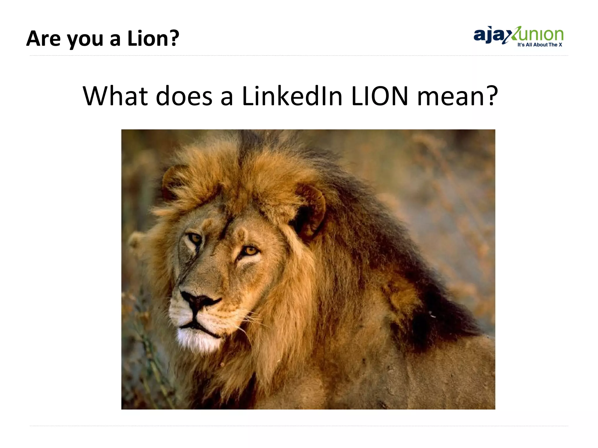 Are you a Lion?

What does a LinkedIn LION mean?

 