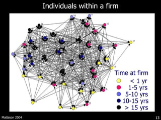 Individuals within a firm Mattsson 2004 < 1 yr 1-5 yrs 5-10 yrs 10-15 yrs > 15 yrs Time at firm 