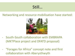Leveraging  the PABRA platform in Africa 