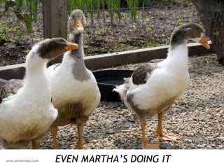 EVEN MARTHA’S DOING IT 