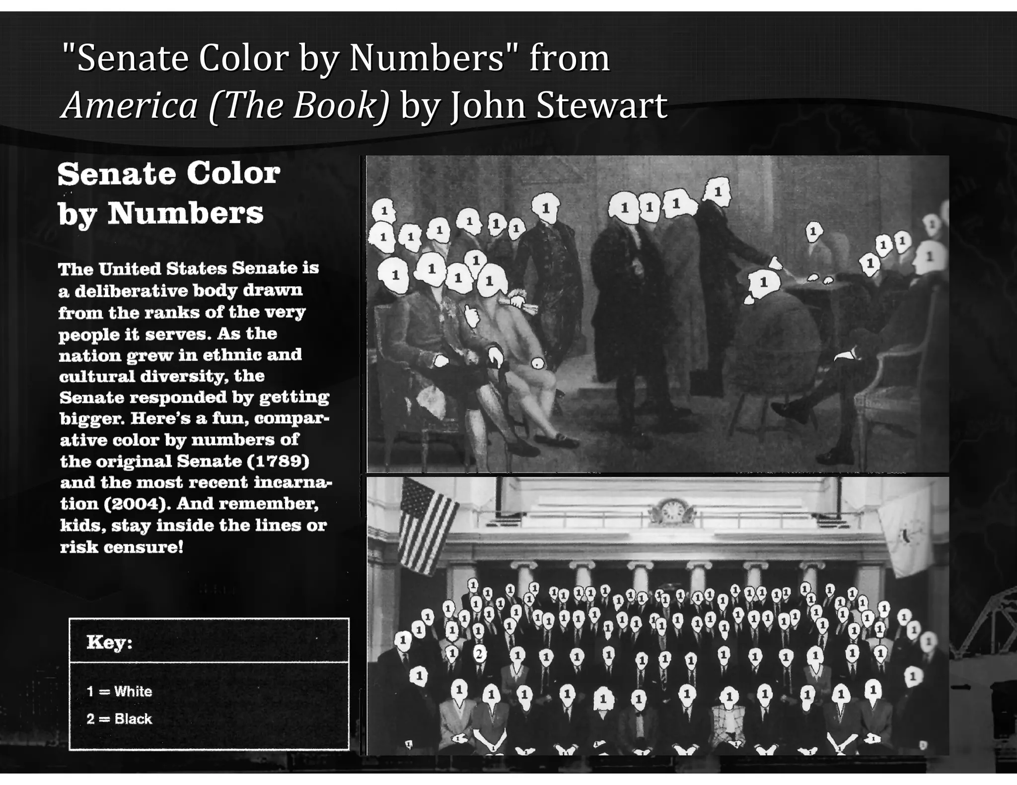 "Senate Color by Numbers" from  America (The Book)  by John Stewart 