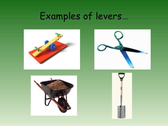 Examples Of Levers Examples Of Levers