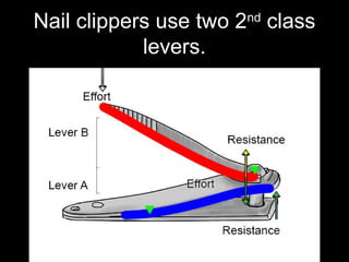Nail clippers use two 2nd
class
levers.
 