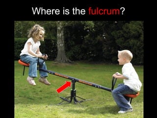 Where is the fulcrum?
 