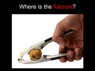 Where is the fulcrum?
 