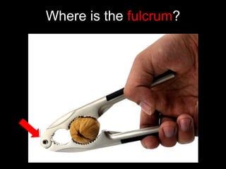 Where is the fulcrum?
 