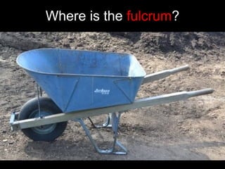 Where is the fulcrum?
 