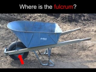 Where is the fulcrum?
 