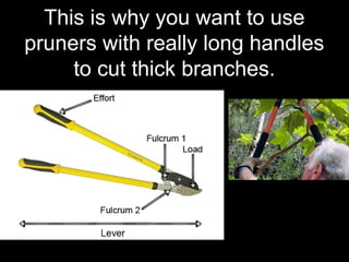 This is why you want to use
pruners with really long handles
to cut thick branches.
 
