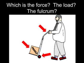 Which is the force? The load?
The fulcrum?
 
