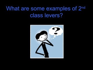 What are some examples of 2nd
class levers?
 