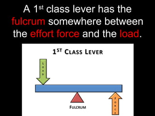 A 1st
class lever has the
fulcrum somewhere between
the effort force and the load.
 