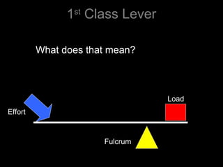 1st
Class Lever
What does that mean?
Effort
Load
Fulcrum
 