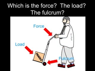 Which is the force? The load?
The fulcrum?
Force
Load
Fulcrum
 