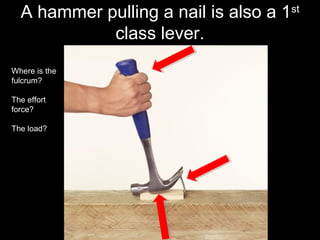 A hammer pulling a nail is also a 1st
class lever.
Where is the
fulcrum?
The effort
force?
The load?
 