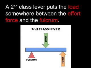 A 2nd
class lever puts the load
somewhere between the effort
force and the fulcrum.
 