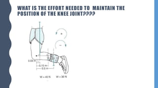 WHAT IS THE EFFORT NEEDED TO MAINTAIN THE
POSITION OF THE KNEE JOINT????
 