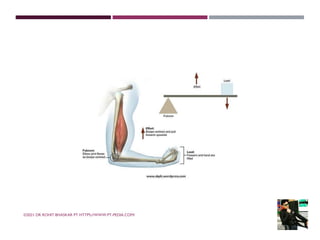 ©2021 DR ROHIT BHASKAR PT HTTPS://WWW.PT-PEDIA.COM/
 