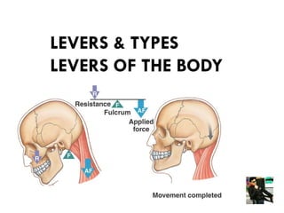 LEVERS & TYPES
LEVERS OF THE BODY
 