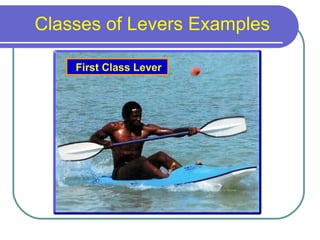 Classes of Levers Examples
First Class Lever
 